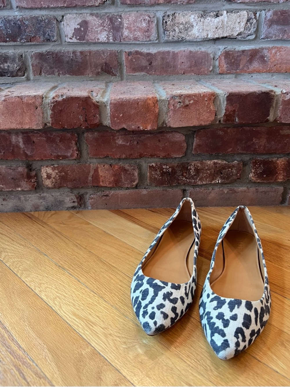 J. Crew Factory Navy & White Leopard Amelia Pixie-Bob Pointed Toe Flats